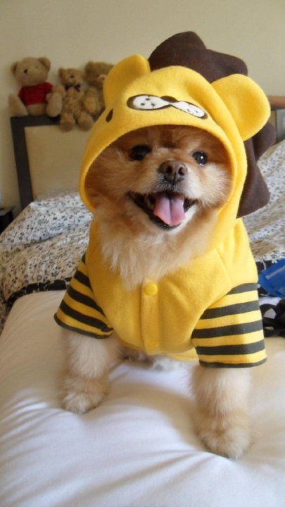 Михаил Сидоров