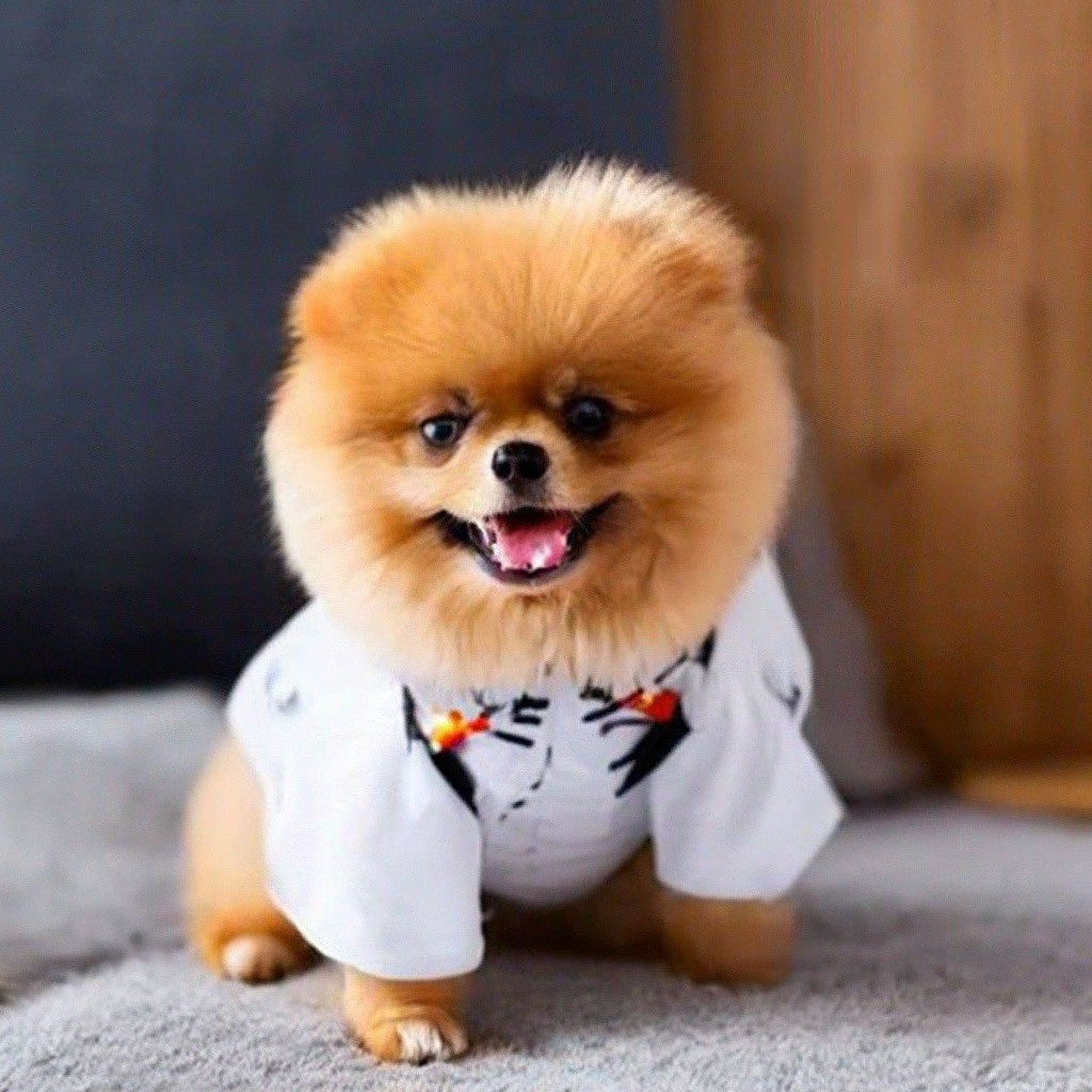 Мария Кузнецова